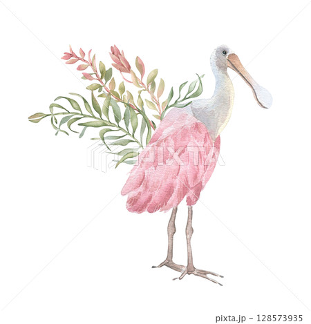 Spoonbill in tropical bush watercolor in blush pink and soft colors isolated on white. Areca palm leaves and exotic bird hand painted. Delicate tropical bouquet botanical art for wedding beach design. 128573935