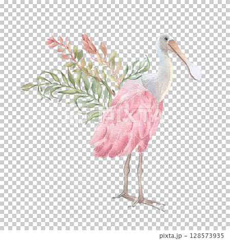 Spoonbill in tropical bush watercolor in blush pink and soft colors isolated on white. Areca palm leaves and exotic bird hand painted. Delicate tropical bouquet botanical art for wedding beach design. 128573935