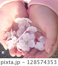 手のひらにのせた桜と桜の花びら 128574353