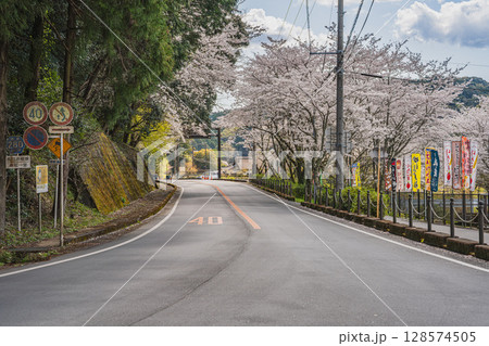 森町の遠江国一宮小國神社の桜の風景(静岡県) 128574505