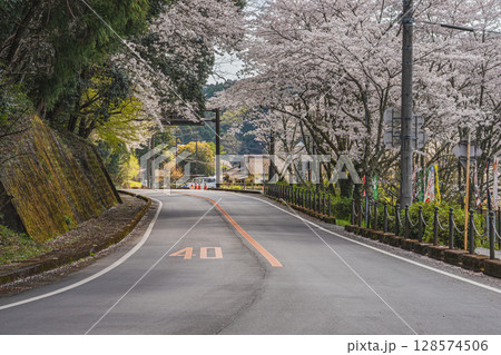 森町の遠江国一宮小國神社の桜の風景(静岡県) 128574506