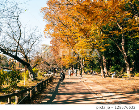 吉祥寺　秋の井の頭公園 128576632