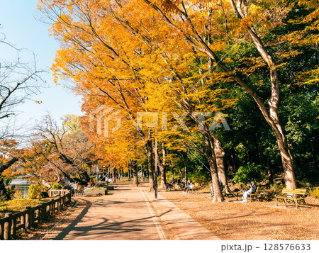 吉祥寺　秋の井の頭公園 128576633