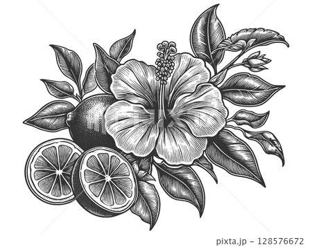 Hibiscus Flower engraving vector illustration Hibiscus Flower engraving vector illustration 128576672