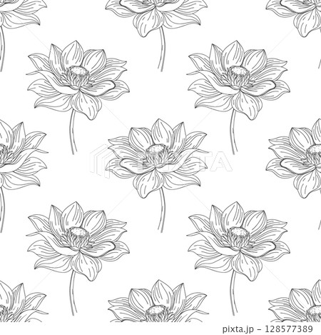 Seamless pattern with contour lotus flowers on white background. Floral background. Monochrome botanical print, wallpaper. 128577389