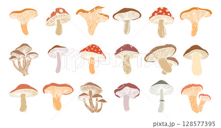 Mushroom set. Collection of hand drawn mushrooms for educational or decorative purposes. Illustration. Mushroom set. Collection of hand drawn mushrooms for educational or decorative purposes. Illustration. 128577395