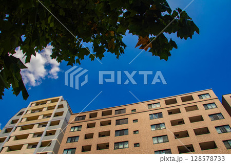 烏丸通りの空とビル群(烏丸五条から烏丸四条まで) 烏丸通りの空とビル群(烏丸五条から烏丸四条まで) 128578733