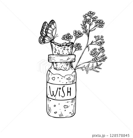 Vector Glass potion bottle with cork and wish sign, tansy and butterfly. Hand painted linear wizard halloween illustration. Graphic magic monochrome sketch isolated on background. For designers 128578845