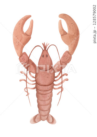 Watercolor lobster illustration. Marine animal clipart isolated on white background. 128579002
