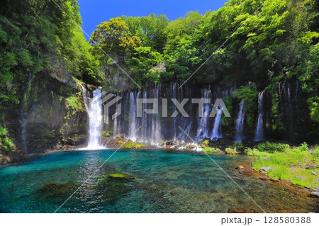 【静岡県】快晴下の白糸の滝 【静岡県】快晴下の白糸の滝 128580388
