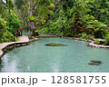 Ban Nam Rad Forested watersheds in Surat Thani, Thailand. 128581755