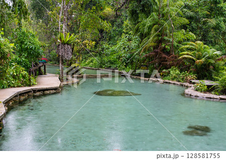 Ban Nam Rad Forested watersheds in Surat Thani, Thailand. 128581755