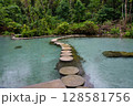 Ban Nam Rad Forested watersheds in Surat Thani, Thailand. 128581756