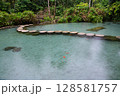 Ban Nam Rad Forested watersheds in Surat Thani, Thailand. 128581757