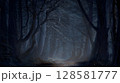 暗い森5 128581777
