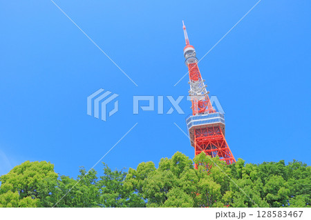 東京都港区、東京タワーと新緑の風景 128583467