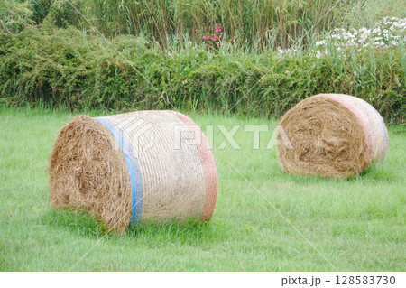 Round wrapped hay bales on a lush green field, surrounded by tall grass and blooming wildflowers. A peaceful rural scene representing agriculture, harvest, and countryside tranquility Round wrapped hay bales on a lush green field, surrounded by tall grass and blooming wildflowers. A peaceful rural scene representing agriculture, harvest, and countryside tranquility 128583730