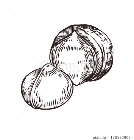 Macadamia nut, half a nut in the shell, a whole nut without the shell. Vector illustration hand-drawn with ink. For printing on fabric paper, packaging of products with nuts, cosmetics, for tableware. Macadamia nut, half a nut in the shell, a whole nut without the shell. Vector illustration hand-drawn with ink. For printing on fabric paper, packaging of products with nuts, cosmetics, for tableware. 128583902