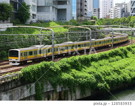 神田川の横をゆくE231系500番台中央・総武緩行線　 128583933