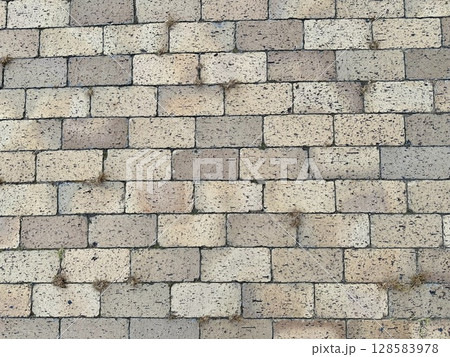 佐渡島 北沢浮遊選鉱場跡の煉瓦の写真 画像 128583978