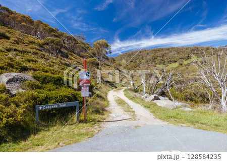Snowy Mountains View on Cascade Hut Trail in Australia 128584235