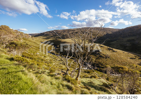 Snowy Mountains View on Cascade Hut Trail in Australia Snowy Mountains View on Cascade Hut Trail in Australia 128584240