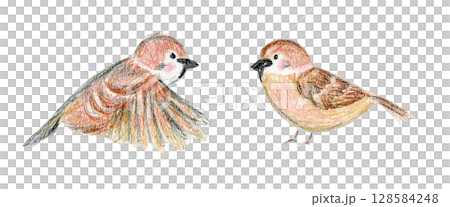 Cute brown crayon color pencil drawing little sparrow couple illustration. Childish textured illustration with finch chirp bird for greeting card design, nursery poster, animal sticker, logo Cute brown crayon color pencil drawing little sparrow couple illustration. Childish textured illustration with finch chirp bird for greeting card design, nursery poster, animal sticker, logo 128584248