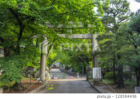 京都　藤森神社　新緑に包まれた南門 128584436