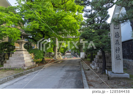 京都　藤森神社　新緑に包まれた南門 128584438