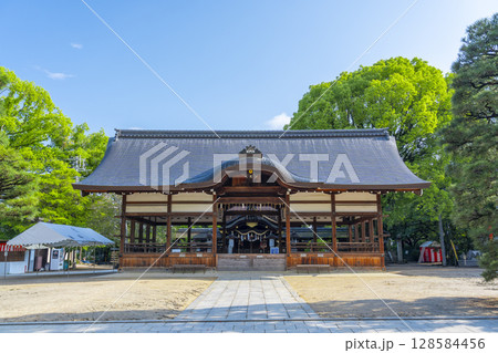 夏の京都　藤森神社　拝殿 128584456