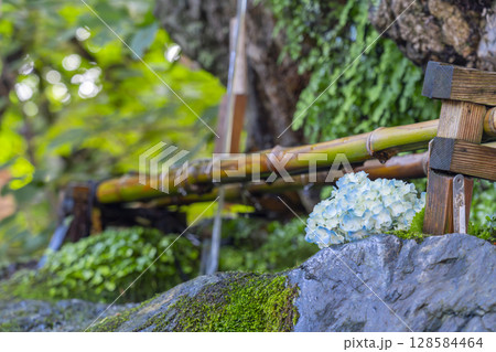 夏の京都　藤森神社　不二の水と紫陽花 128584464
