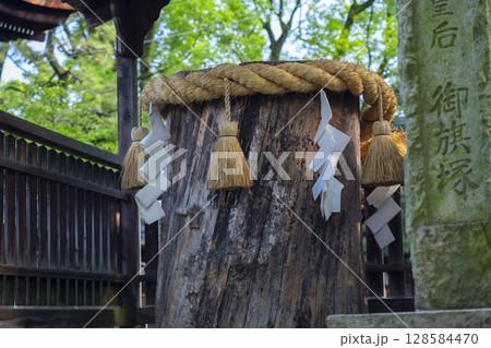 夏の京都　藤森神社　旗塚といちいの木 128584470