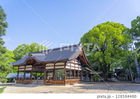 夏の京都 藤森神社 拝殿・本殿 夏の京都 藤森神社 拝殿・本殿 128584480