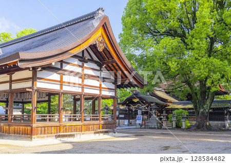 夏の京都 藤森神社 拝殿・本殿 夏の京都 藤森神社 拝殿・本殿 128584482