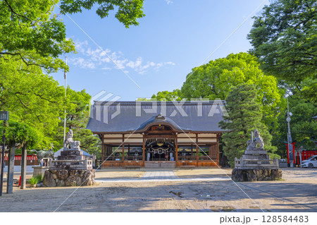 夏の京都 藤森神社 拝殿 夏の京都 藤森神社 拝殿 128584483