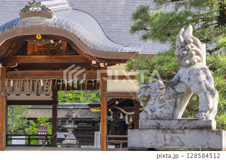 夏の京都　藤森神社　本殿 128584512