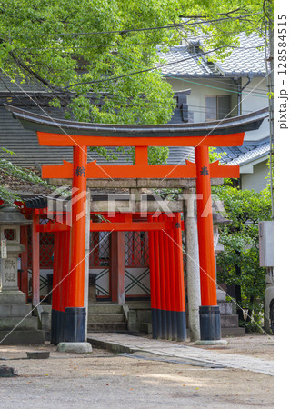 夏の京都　藤森神社　藤森稲荷社 128584515