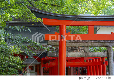 夏の京都 藤森神社 藤森稲荷社 夏の京都 藤森神社 藤森稲荷社 128584516