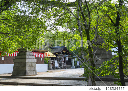 夏の京都　藤森神社　本殿 128584535