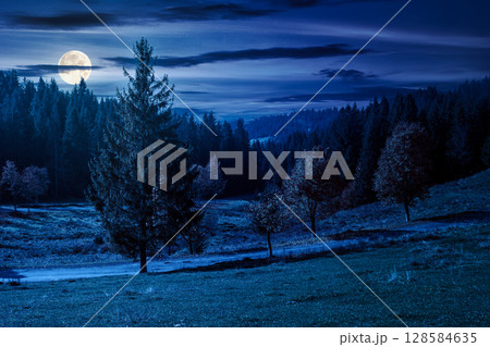 countryside mountain landscape in autumn at night. rural road winding through valley among field and trees on the hill. scenic vista in fall season for travel and outdoor adventure in full moon light 128584635