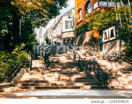 吉祥寺　秋の井の頭公園 128584654