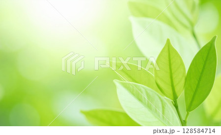 《AI画像》新緑イメージの背景素材 128584714
