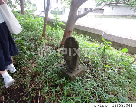 立ち入り禁止御等々力不動隣の岳山古墳にはいりました年に1回5月28日しかはいれません 立ち入り禁止御等々力不動隣の岳山古墳にはいりました年に1回5月28日しかはいれません 128585041