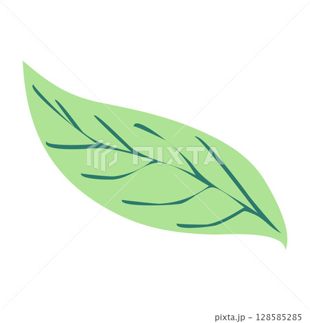 Wild and garden flowers, leaves. Modern vector botanical illustrations in trendy bright colors on white background. hand drawn floral design elements 128585285