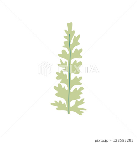 Wild and garden flowers, leaves. Modern vector botanical illustrations in trendy bright colors on white background. hand drawn floral design elements Wild and garden flowers, leaves. Modern vector botanical illustrations in trendy bright colors on white background. hand drawn floral design elements 128585293