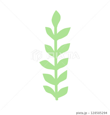 Wild and garden flowers, leaves. Modern vector botanical illustrations in trendy bright colors on white background. hand drawn floral design elements Wild and garden flowers, leaves. Modern vector botanical illustrations in trendy bright colors on white background. hand drawn floral design elements 128585294
