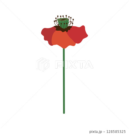 Wild and garden flowers, leaves. Modern vector botanical illustrations in trendy bright colors on white background. hand drawn floral design elements 128585325