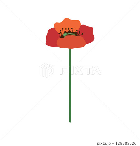 Wild and garden flowers, leaves. Modern vector botanical illustrations in trendy bright colors on white background. hand drawn floral design elements 128585326