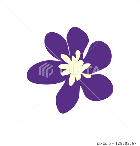 Wild and garden flowers, leaves. Modern vector botanical illustrations in trendy bright colors on white background. hand drawn floral design elements Wild and garden flowers, leaves. Modern vector botanical illustrations in trendy bright colors on white background. hand drawn floral design elements 128585367