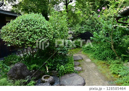 旧太田脇本陣林家住宅(中山道太田宿)隠居屋の庭園 旧太田脇本陣林家住宅(中山道太田宿)隠居屋の庭園 128585464